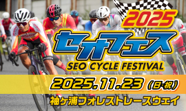 セオフェスサイト
